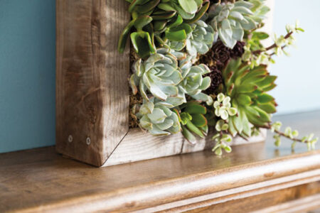 Create a Living Picture Frame Image